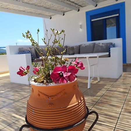Nautilus Beach House Парадейси Экстерьер фото