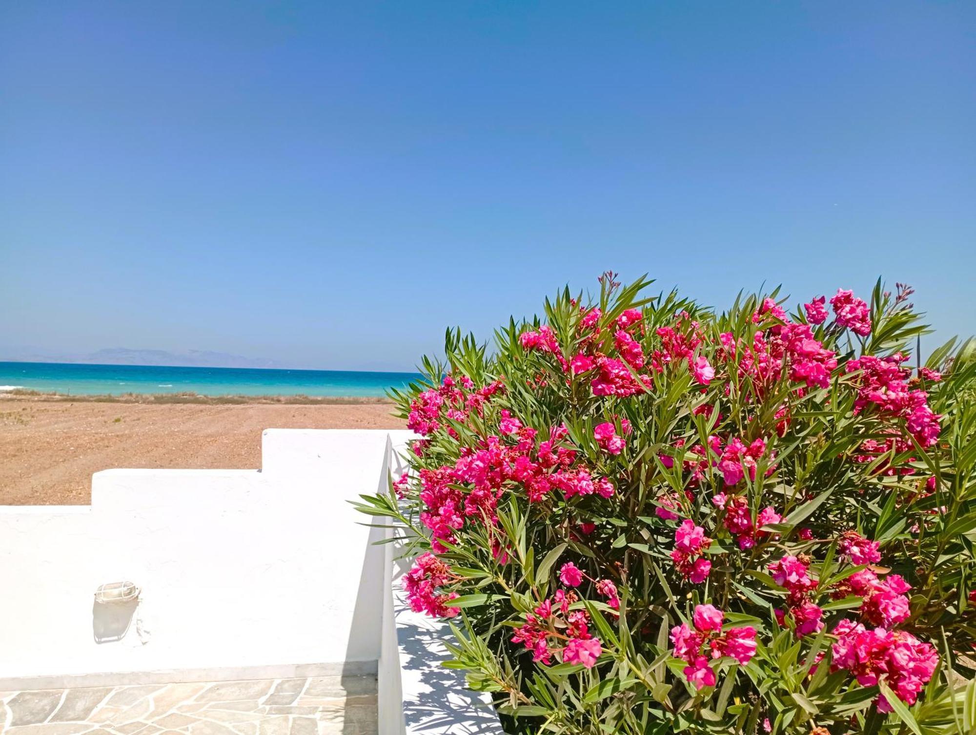 Nautilus Beach House Парадейси Экстерьер фото